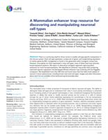 A Mammalian enhancer trap resource for discovering and manipulating neuronal cell types.