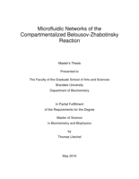Microfluidic Networks of the Compartmentalized Belousov-Zhabotinsky Reaction