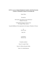 KCNE1 Accessory Subunits Diminish the Sensitivity of KCNQ1 Potassium Channels to Pathological Changes in Extracellular pH