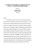 Cryo-Electron Tomographic Averaging Reveals Novel Features of Axonemal Microtubule Doublets