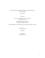 Intestinal Hypertrophy and Increased Glucose Transporter Expression after Gastric Bypass
