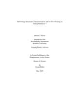 Subcloning, Enzymatic Characterization, and in silico Docking of Transglutaminase 2