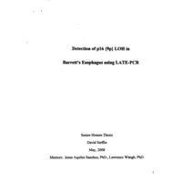 Detection of p16 {9p} LOH in Barrett's Esophagus using LATE·PCR