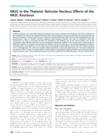 NR2C in the thalamic reticular nucleus; effects of the NR2C knockout.