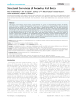 Structural correlates of rotavirus cell entry.