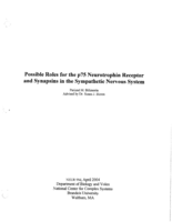 Possible Roles for the p75 Neurotrophin Receptor and Synapsins in the Sympathetic Nervous System