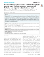 Functional interplay between the 53BP1-ortholog Rad9 and the Mre11 complex regulates resection, end-tethering and repair of a double-strand break.