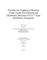 Fluoride Ion Trapping in Bacteria Under Acidic Environment and Quaternary Structure of CLCF-Type Membrane Transporte