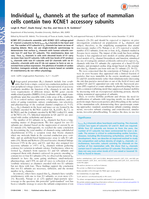 Individual IKs Channels at the Surface of Mammalian Cells Contain Two KNCE1 Accessory Subunits