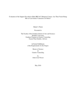 Evaluation of the Support Provided to Male BRCA1/2 Mutation Carriers: Are Their Needs Being Met or Can Genetic Counselors Do Better?