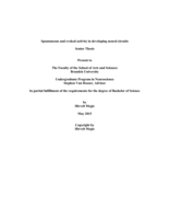 Spontaneous and evoked activity in developing neural circuits