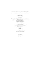 Mechanism of Translation Regulation of BTG1 by eIF3