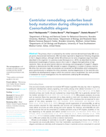 Centriolar remodeling underlies basal body maturation during ciliogenesis in Caenorhabditis elegans.