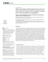 RNA-seq analysis of Drosophila clock and non-clock neurons reveals neuron-specific cycling and novel candidate neuropeptides.