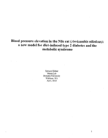 Blood pressure elevation in the Nile rat (Arvicanthis niloticus): a new model for diet-induced type 2 diabetes and the metabolic syndrome
