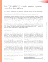 Zds1/Zds2–PP2A(Cdc55) complex specifies signaling output from Rho1 GTPase