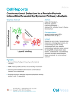 Conformational Selection in a Protein-Protein Interaction Revealed by Dynamic Pathway Analysis
