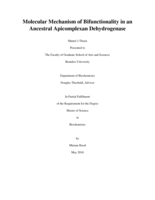 Molecular Mechanism of Bifunctionality in an Ancestral Apicomplexan Dehydrogenase