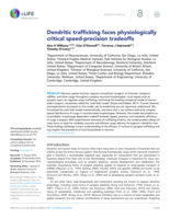 Dendritic trafficking faces physiologically critical speed-precision tradeoffs.