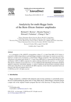 Analyticity for multi-Regge limits of the Bern_Dixon_Smirnov amplitudes