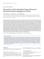 Homeostatic Activity-Dependent Tuning of Recurrent Networks for Robust Propagation of Activity