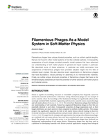 Filamentous Phages As a Model System in Soft Matter Physics