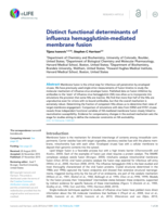 Distinct functional determinants of influenza hemagglutinin-mediated membrane fusion.