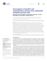 Convergence of pontine and proprioceptive streams onto multimodal cerebellar granule cells.