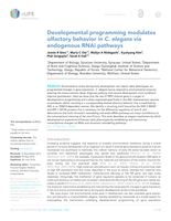 Developmental programming modulates olfactory behavior in C. elegans via endogenous RNAi pathways