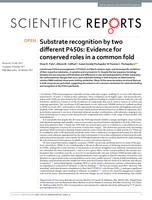 Substrate recognition by two different P450s: Evidence for conserved roles in a common fold