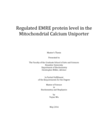 Regulated EMRE protein level in the Mitochondrial Calcium Uniporter