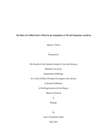 The Role of CaMKII and CASK-β in the Regulation of TH and Dopamine Synthesis