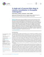 A single pair of neurons links sleep to memory consolidation in Drosophila melanogaster.