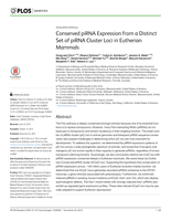 Conserved piRNA Expression from a Distinct Set of piRNA Cluster Loci in Eutherian Mammals