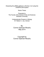 Dissecting the piRNA pathway of Bombyx mori using the CRISPR/Cas9 System