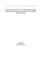 Stabilization of SODl A4V for identification of drug compounds for therapeutic treatment of Amyotrophic Lateral Sclerosis
