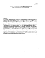 Analysis of gene and protein regulation in Xenopus