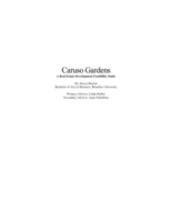 Caruso Gardens: A Real Estate Feasibility Study