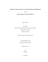 NMR Study of Interaction between Cytochrome P450cam and Putidaredoxin and Structural Study of Cytochrome P450 3A4