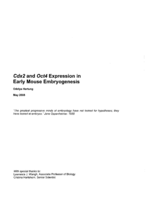 Cdx2 and Oct4 Expression in Early Mouse Embryogenesis