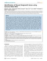 Identification of neural outgrowth genes using genome-wide RNAi.