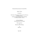 Functional Characterization of Circular RNAs
