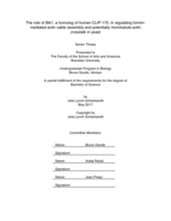 The role of Bik1, a homolog of human CLIP-170, in regulating formin-mediated actin cable assembly and potentially microtubule-actin crosstalk in yeast