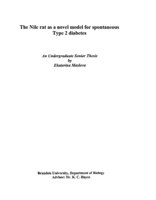 The Nile rat as a novel model for spontaneous Type 2 diabetes