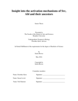 Insight into the activation mechanisms of Src, Abl and their ancestors