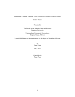Establishing a Human Transgene Yeast Proteotoxicity Model of Lafora Disease