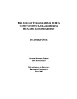 The Role of Tyrosine-283 of BCR In Hematopoietic Lineages During BCR/ABL Leukemogenesis