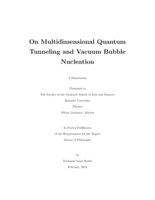 On Multidimensional Quantum Tunneling and Vacuum Bubble Nucleation