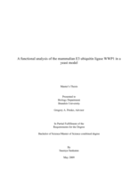 A functional analysis of the mammalian E3 ubiquitin ligase WWP1 in a yeast model