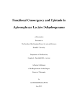 Functional Convergence and Epistasis in Apicomplexan Lactate Dehydrogenases